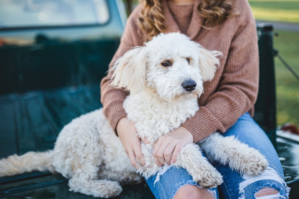 A person cuddling a dog.