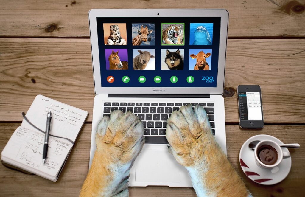 A tiger video calling his friends. There are various different animals on the video call with the tiger.