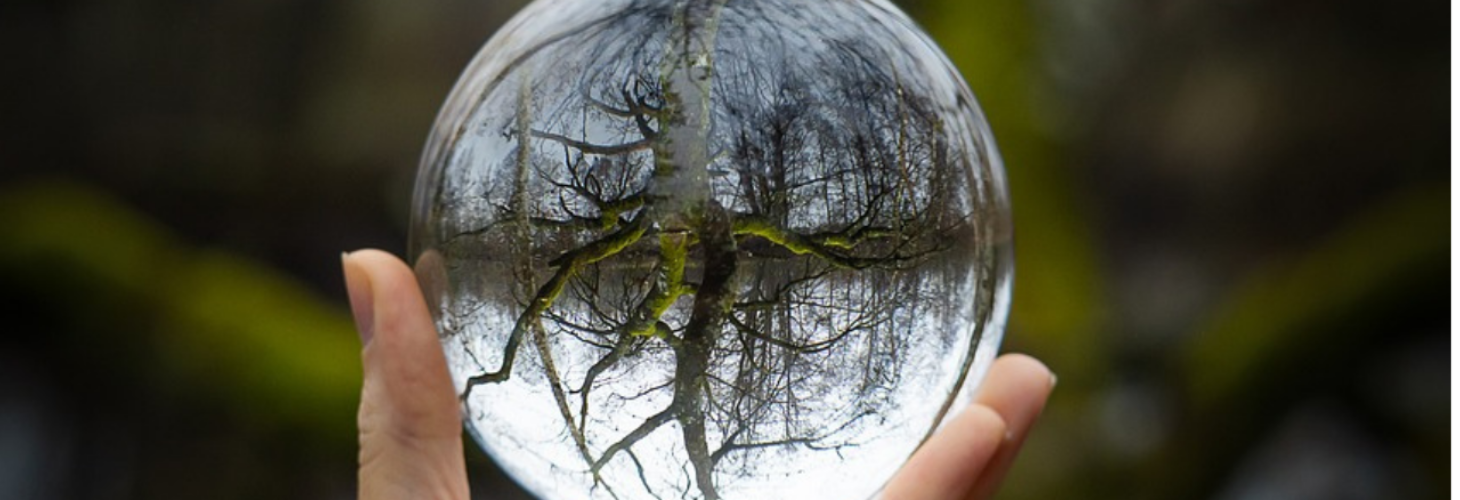 Person holding a sphere with a reflection in it.